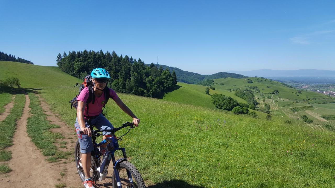 Gaestehaus Casa Luna - Paradiesische Ferienwohnungen Am Kaiserstuhl! Bischoffingen Exteriör bild