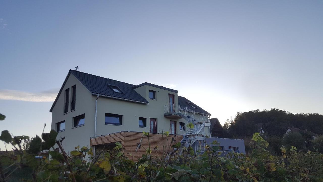 Gaestehaus Casa Luna - Paradiesische Ferienwohnungen Am Kaiserstuhl! Bischoffingen Exteriör bild