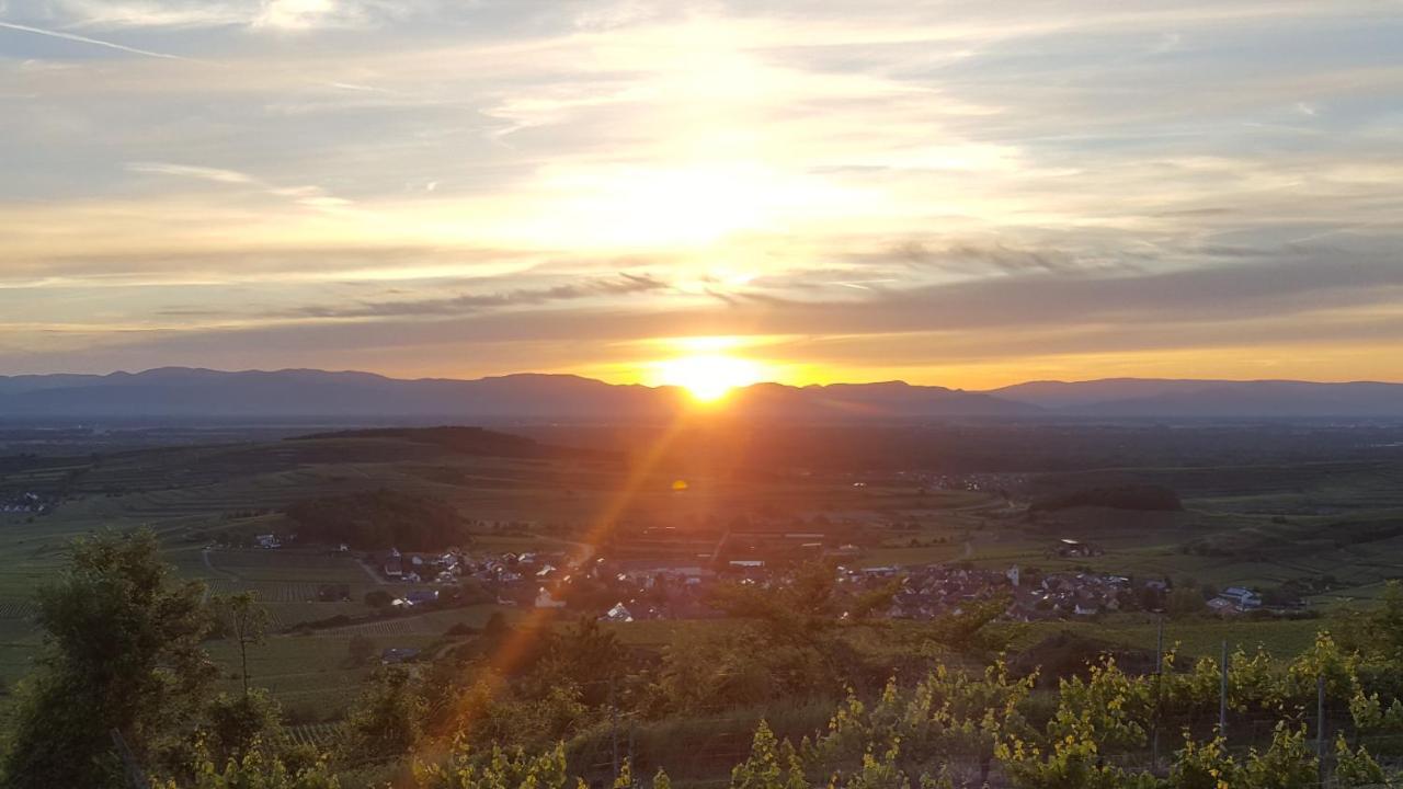 Gaestehaus Casa Luna - Paradiesische Ferienwohnungen Am Kaiserstuhl! Bischoffingen Exteriör bild