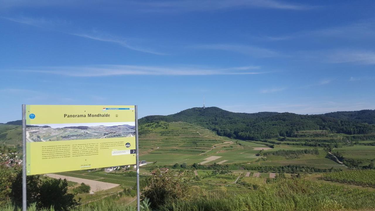 Gaestehaus Casa Luna - Paradiesische Ferienwohnungen Am Kaiserstuhl! Bischoffingen Exteriör bild