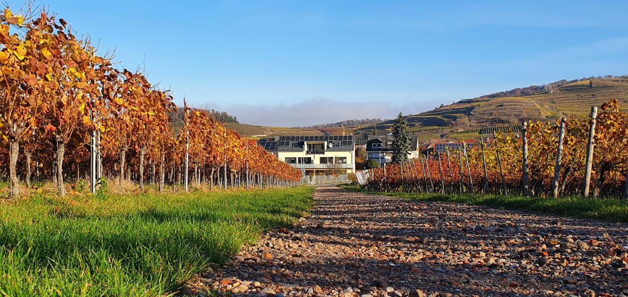 Gaestehaus Casa Luna - Paradiesische Ferienwohnungen Am Kaiserstuhl! Bischoffingen Exteriör bild