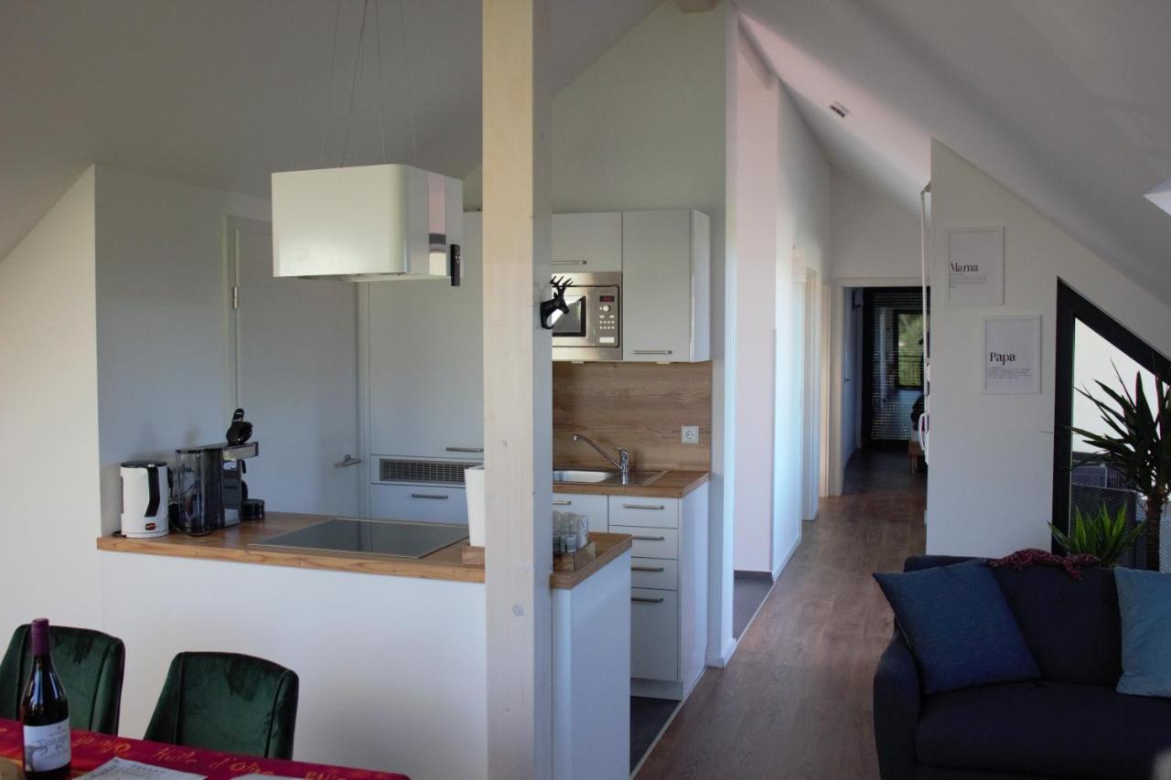 Gaestehaus Casa Luna - Paradiesische Ferienwohnungen Am Kaiserstuhl! Bischoffingen Exteriör bild
