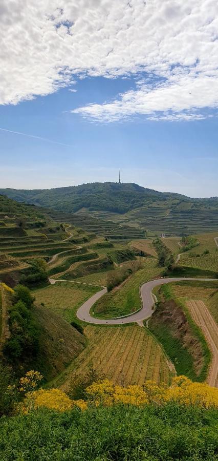 Gaestehaus Casa Luna - Paradiesische Ferienwohnungen Am Kaiserstuhl! Bischoffingen Exteriör bild