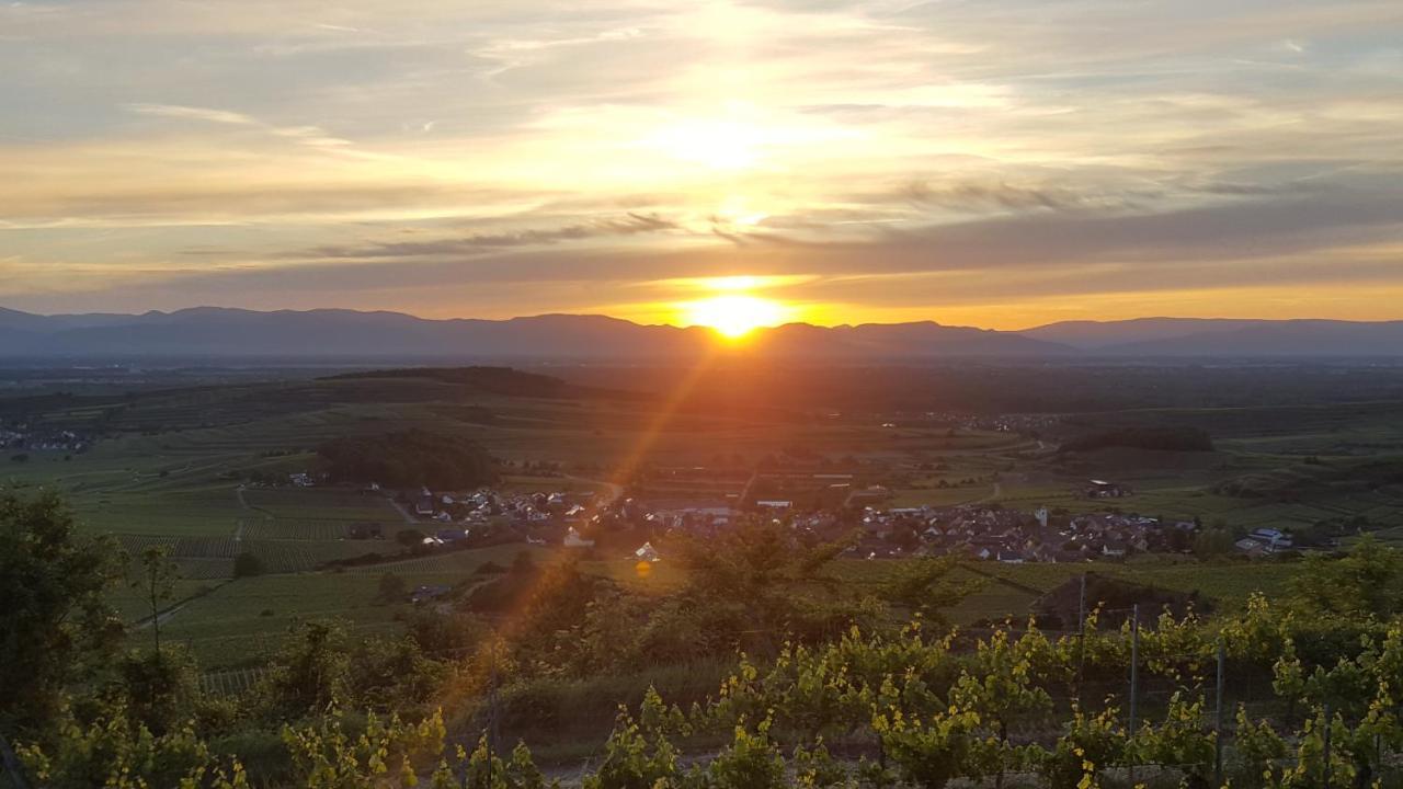Gaestehaus Casa Luna - Paradiesische Ferienwohnungen Am Kaiserstuhl! Bischoffingen Exteriör bild