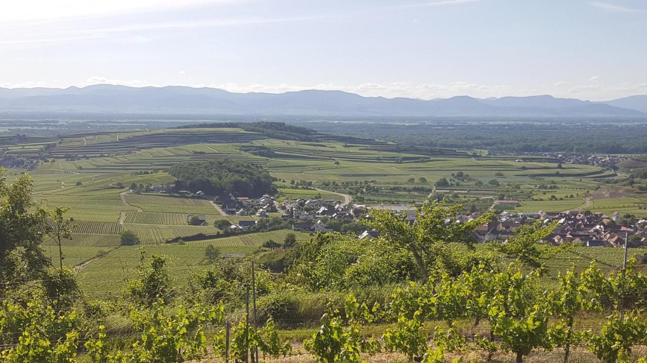 Gaestehaus Casa Luna - Paradiesische Ferienwohnungen Am Kaiserstuhl! Bischoffingen Exteriör bild