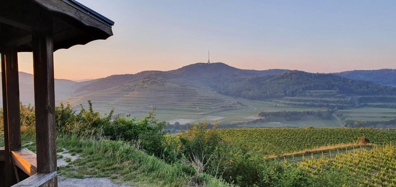 Gaestehaus Casa Luna - Paradiesische Ferienwohnungen Am Kaiserstuhl! Bischoffingen Exteriör bild